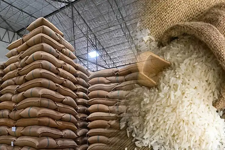 Pesticide residues, quality gaps drive Indian rice shipment rejections; stronger pre-shipment checks can curb risks: IREF