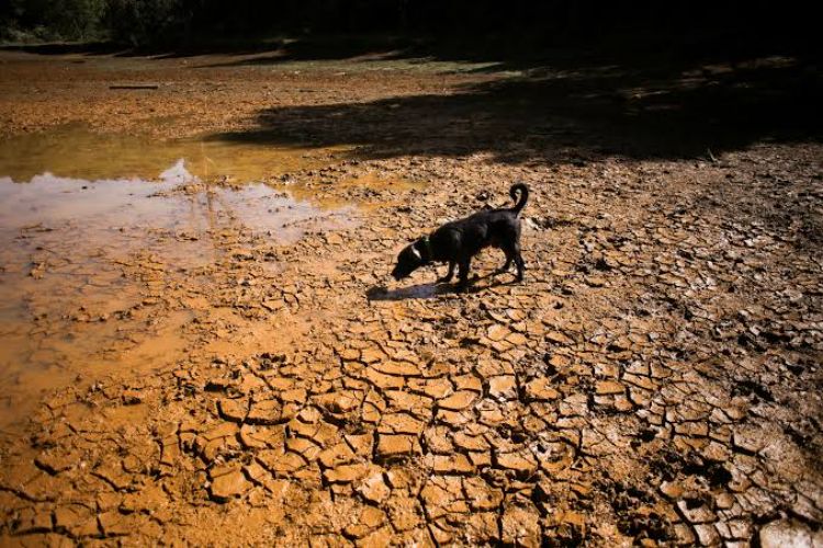 'Super El Nino' ​​report: Co-author explains methodology for estimating '4.51 lakh excess deaths'