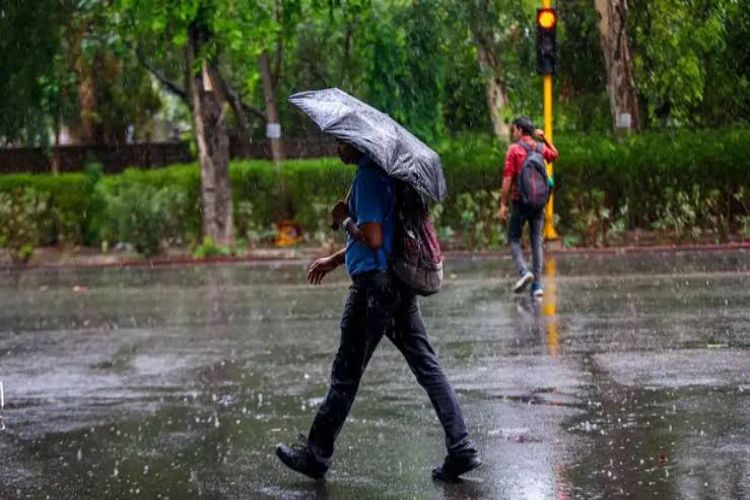 Light to moderate rain is expected at many places in Rajasthan.