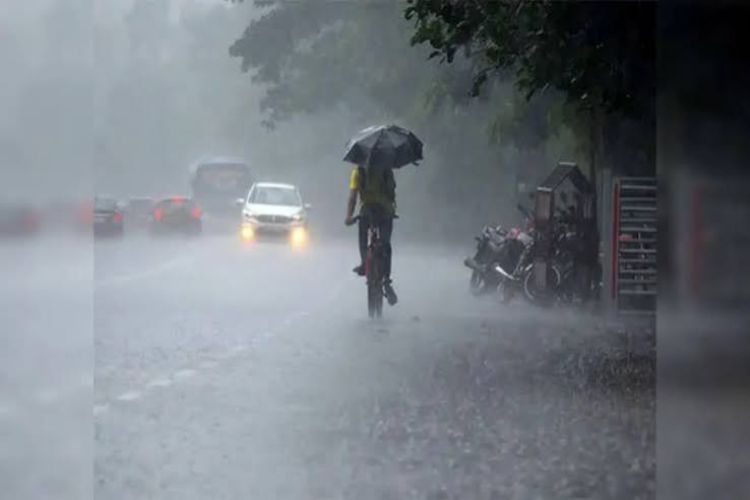 Heavy rains lash many parts of Uttar Pradesh as monsoon activity intensifies