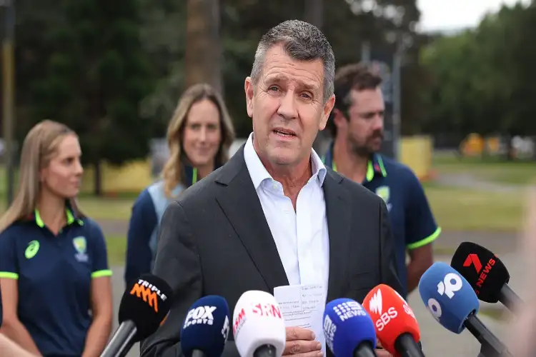 Mike Baird resigns as Cricket Australia chair, David Boon to take over interim role