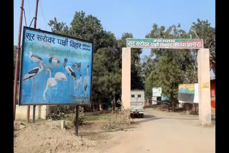 NGT records expansion of Soor Sarovar Bird Sanctuary in Agra to 798.1505 hectares