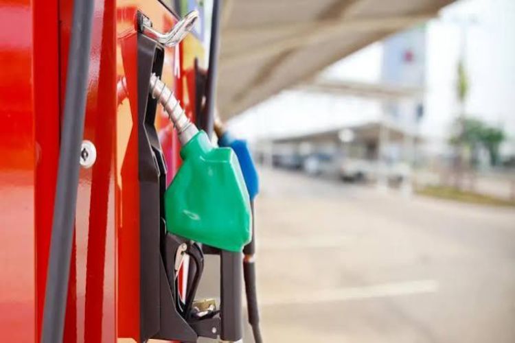 E20 petrol will help reduce import dependence: ONGC official