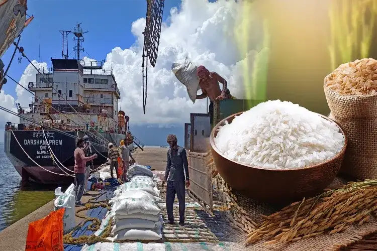 Value-added rice products offer new growth opportunities for Indian industry: IREF
