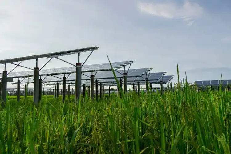 Cabinet clears Rs 1.86 lakh crore Green Energy Corridor-III to evacuate 135 GW renewable power