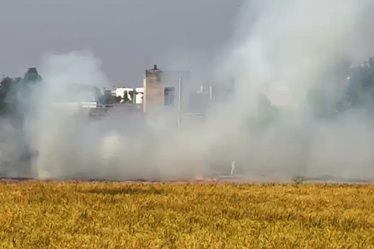 Punjab stubble-burning cases down to nearly one-third since 2022: AAP MLA Ajay Gupta
