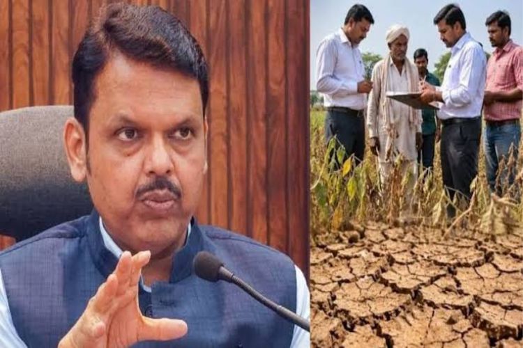 Drought in Maharashtra, crop damage a major challenge, fear of shortage of drinking water and fodder: Fadnavis