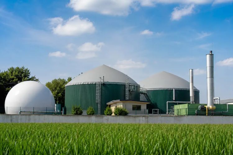 Maharashtra government to set up plants to produce compressed biogas from waste