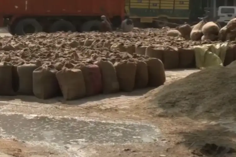 Heavy rain damages grain stocks at mandis in Amritsar and Delhi's Narela