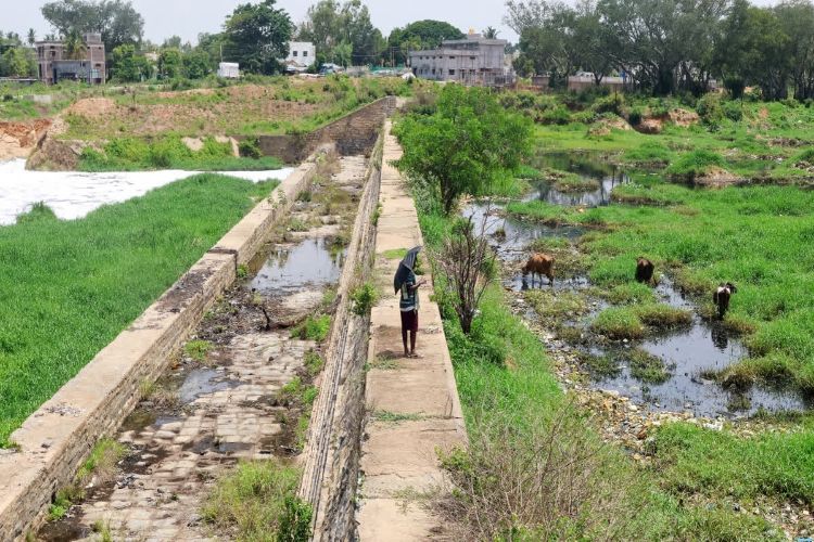 PM-Ajay Yojana: 18,093 villages declared as 'Adarsh ​​Grams', construction of 785 hostels completed