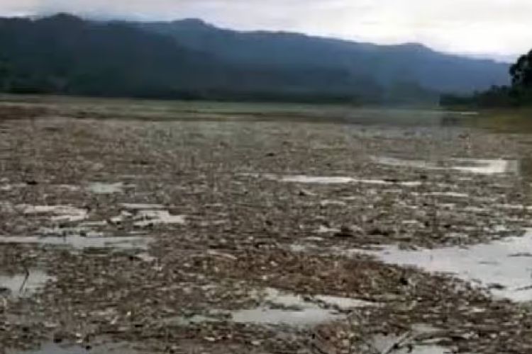 Over 340,000 hectares of cultivable land identified in Meghalaya: Study