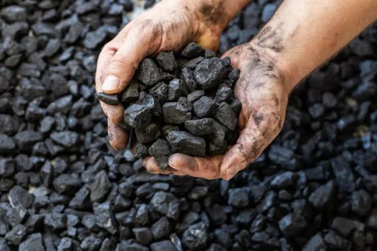 BCGCL awards contracts worth Rs 15,000 crore for coal-to-gas projects