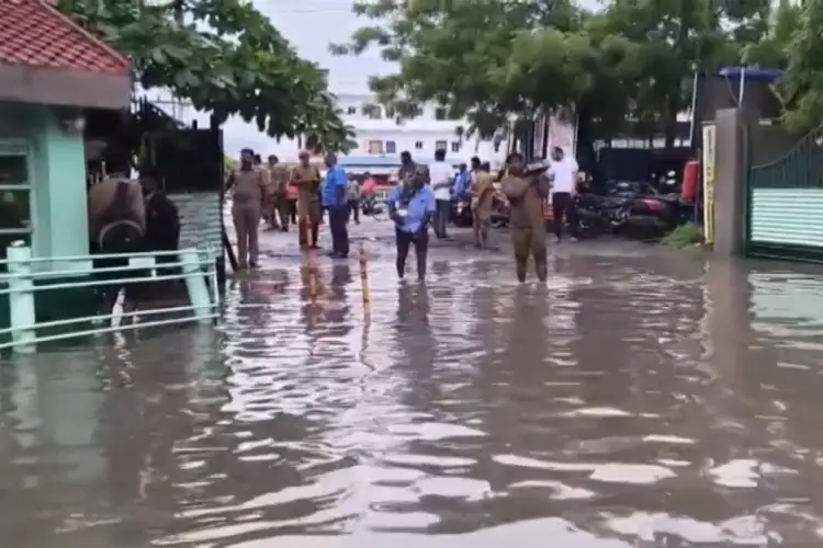 Tamil Nadu: Heavy rain floods Virudhunagar govt bus depot, disrupts services; Ranipet and Perambalur also hit by downpour