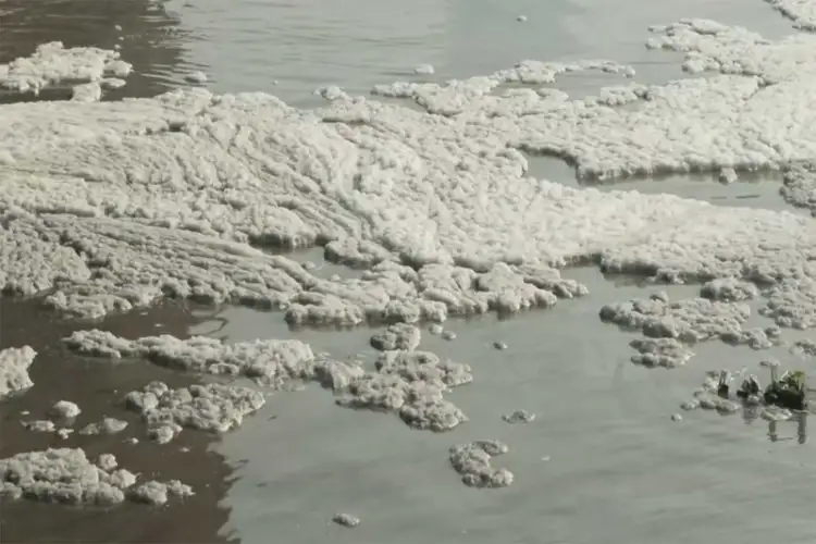 Delhi: Yamuna's Kalindi Kunj stretch covered in toxic foam amid government's cleanup efforts