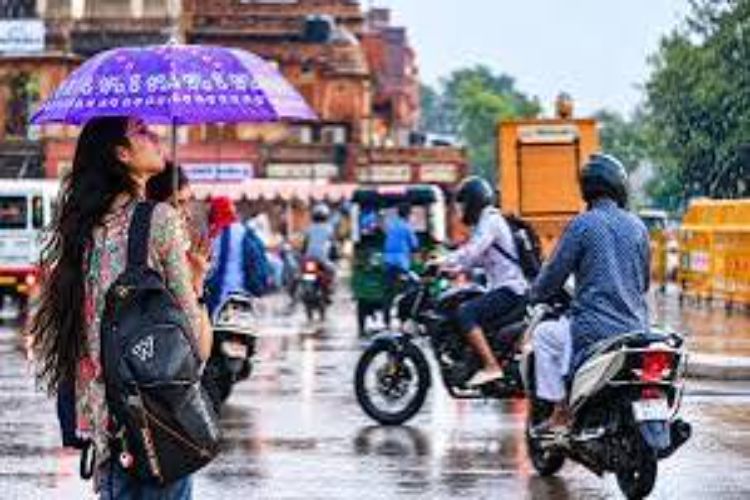 Heavy rain continues in Puducherry, schools declared holiday
