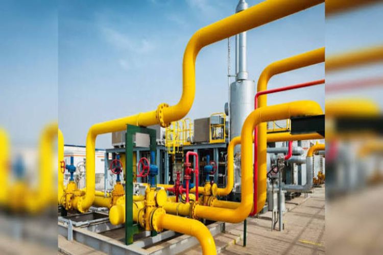 Petronet LNG, Gruner Renewables form JV for CBG plants