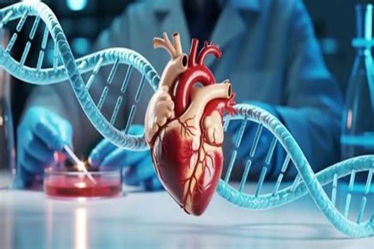 Most people globally have high genetic risk of three common diseases: Study