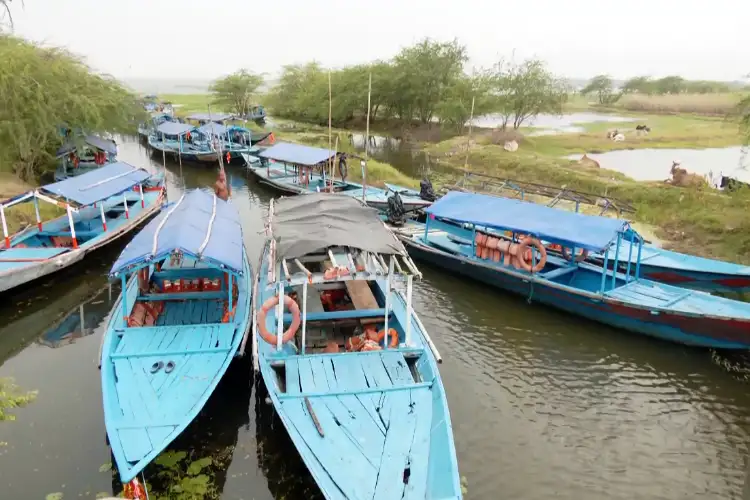 Odisha braces for Cyclone Arnab, boat services halted in Chilika till October 29
