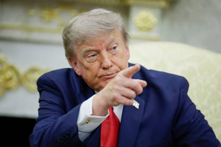 Donald Trump alleges 
