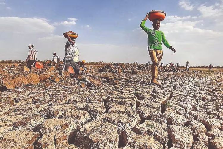 Maharashtra Cabinet approves advance assistance of Rs 5,000 to drought-affected farmers