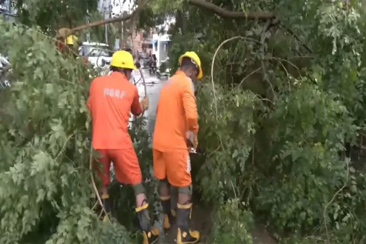 Cyclone Arnab: NDRF clears uprooted trees, debris in Yanam; IMD warns of 140 kmph winds