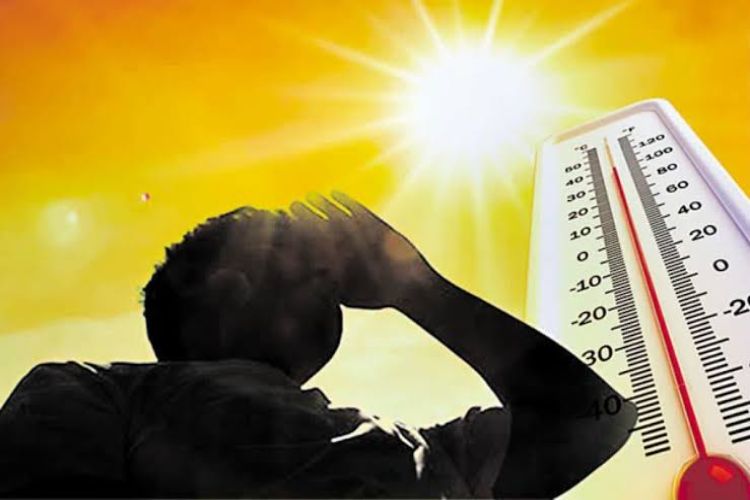 India among worst-hit countries for infants, elderly exposed to heatwaves: Report