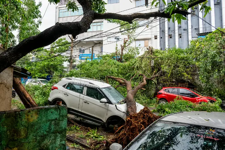 Odisha: Cyclone Arnab triggers flooding in Gajapati, paddy crops at risk