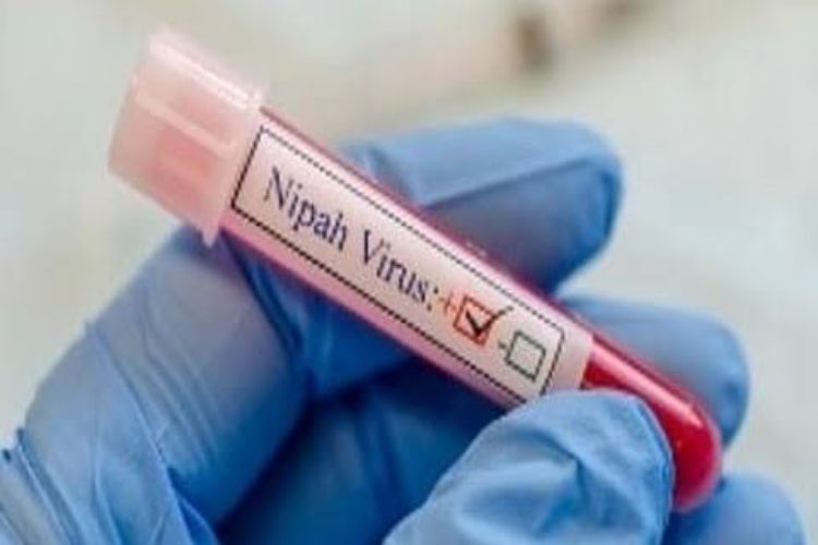 Investigation underway into allegations of giving expired medicine to Nipah patients
