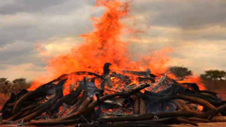 दो जगह मुस्लिमों ने किया हिंदुओं का अंतिम संस्कार