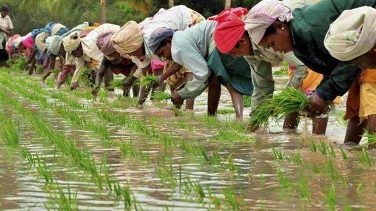 आर्थिक सर्वेक्षणः किसान आंदोलन के बावजूद कोरोना की मार से उबरने में कृषि बनेगा सहारा