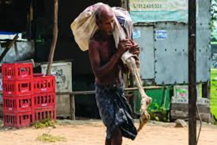 Preliminary investigation into Keonjhar skeleton case indicates 'bank's fault': Official