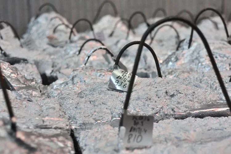 Zinc futures rise on strong spot demand