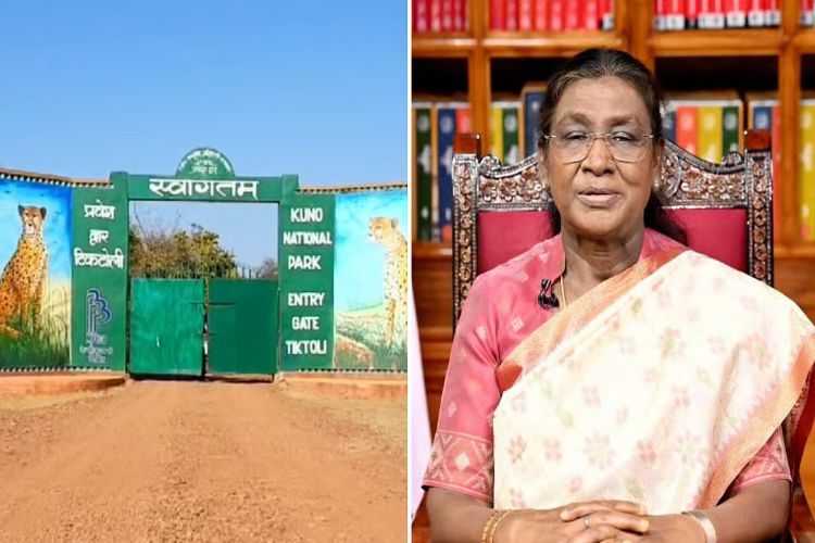 President Murmu will be on a five-day visit to Madhya Pradesh