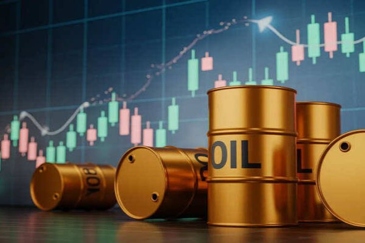 Stock market rises on softening of crude oil prices, rise in global markets