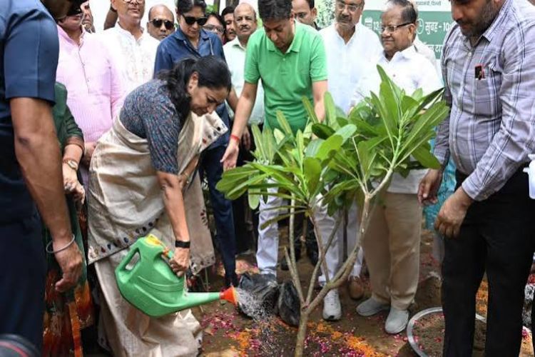 Government achieved the target of planting 70 lakh saplings under 'Mission Green Delhi'