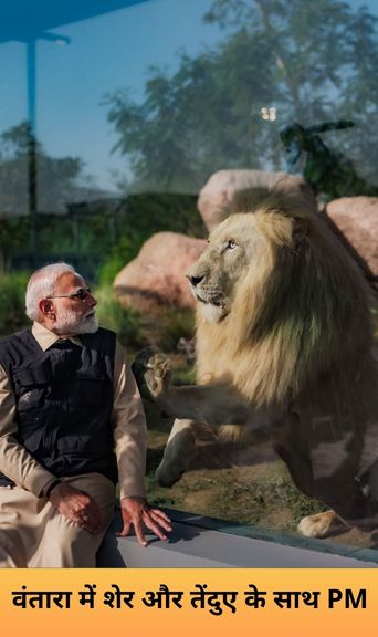 वंतारा में शेर और तेंदुए के साथ PM